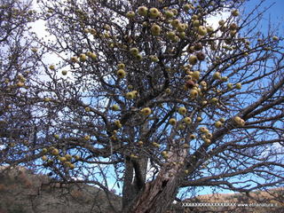 Montagna_Grande - 28-12-2012 14-12-35.JPG